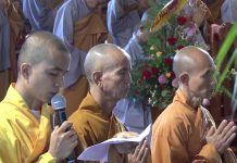 Sa Di Oai Nghi Phần 7 – Thích Tuệ Hải sa di oai nghi phan 7 thich tue