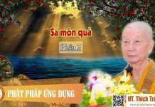 Sa Môn Quả Phần 2 – Thích Trí Quảng sa mon qua phan 2 thich tri quan