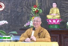 Sa môn quả – Thích Thiện Thuận sa mon qua thich thien thuan