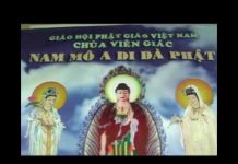 Sách Tấn Tu Học – Thích Giác Hạnh sach tan tu hoc thich giac hanh