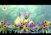 Sai Lầm & Cái Giá Phải Trả – Thích Thiện Thuận sai lam cai gia phai tra thich t