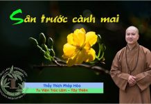 Sân Trước Cành Mai – Thích Pháp Hòa san truoc canh mai thich phap ho