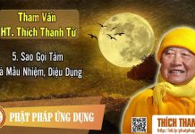 Sao Gọi Tâm Là Mầu Nhiệm, Diệu Dụng – Tham vấn HT Thanh Từ 5 sao goi tam la mau nhiem dieu du