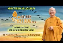 Sau Ánh Hào Quang Dưới Góc Nhìn Bây Giờ và Tại Đây – Thích Nhật Từ sau anh hao quang duoi goc nhin