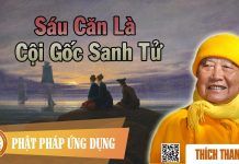 Sáu Căn Là Cội Gốc Sanh Tử – Thích Thanh Từ sau can la coi goc sanh tu thich