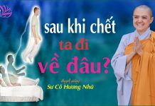 Sau Khi Chết Ta Đi Về Đâu – Thích Nữ Hương Nhũ sau khi chet ta di ve dau thich