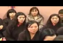 Sen Nở Trời Âu – Thích Chân Tính sen no troi au thich chan tinh