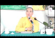 Sen Nở Từ Bùn – Thích Thiện Tuệ sen no tu bun thich thien tue