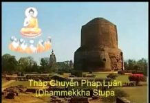 Sen Vàng Kỳ Diệu 2 – Thích Nguyên Hạnh sen vang ky dieu 2 thich nguyen