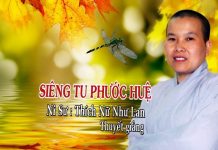 Siêng Tu Phước Huệ – Thích Nữ Như Lan sieng tu phuoc hue thich nu nhu
