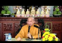 Siêu Đọa Do Tâm – Thích Trí Huệ sieu doa do tam thich tri hue