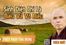 Sinh Diệt Chỉ Là Biểu Và Vô Biểu – Thích Nhất Hạnh sinh diet chi la bieu va vo bieu