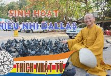 Sinh hoạt thiếu nhi Dallas 02/10/ 2004 sinh hoat thieu nhi dallas 02 10