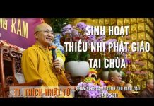Sinh Hoạt Thiếu Nhi Phật Giáo Tại Chùa – Thích Nhật Từ sinh hoat thieu nhi phat giao ta