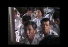 Sinh Mệnh Đạo Phật Tồn Tại Như Thế Nào Trong Thời Đại Của Chúng Ta – Thích Thái Hòa sinh menh dao phat ton tai nhu t