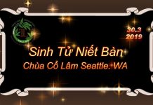 Sinh Tử – Niết Bàn – Thích Pháp Hòa sinh tu niet ban thich phap hoa