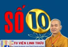 Số 10 – Thích Thiện Xuân so 10 thich thien xuan 2016 1