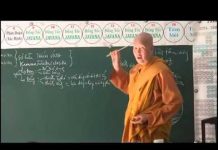 Sở Hữu Thích Ứng – Thích Nữ Tâm Tâm so huu thich ung thich nu tam ta