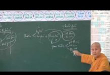 Sở Hữu Trí Tuệ Phần 1 – Thích Nữ Tâm Tâm so huu tri tue phan 1 thich nu t