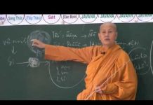 Sở Hữu Trí Tuệ Phần 2 – Thích Nữ Tâm Tâm so huu tri tue phan 2 thich nu t