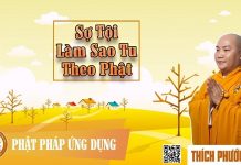 Sợ Tội, Làm Sao Tu Theo Phật – Thích Phước Tiến so toi lam sao tu theo phat thic