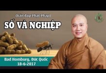 Số Và Nghiệp (Vấn Đáp) – Thầy Thích Pháp Hòa so va nghiep van dap thay thich