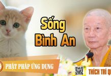 Sống Bình An – Thích Trí Quảng song binh an thich tri quang