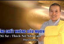 Sống Chết Không Sầu Muộn – Thích Nữ Như Lan song chet khong sau muon thich n 1
