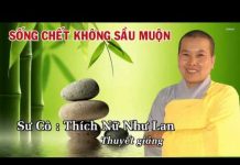 Sống Chết Không Sầu Muộn – Thích Nữ Như Lan song chet khong sau muon thich n