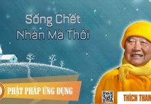 Sống Chết Nhàn Mà Thôi – Thích Thanh Từ song chet nhan ma thoi thich tha