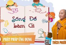 Sống Để Làm Gì – Thích Phước Tiến song de lam gi thich phuoc tien