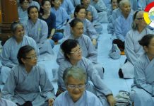 Sống Để Làm Gì – Thích Thiện Tuệ song de lam gi thich thien tue