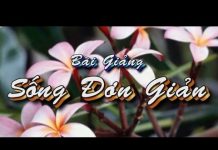 Sống Đơn Giản – Thích Pháp Hòa song don gian thich phap hoa