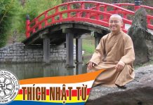 Sống hạnh phúc – Thích Nhật Từ song hanh phuc thich nhat tu
