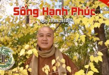Sống Hạnh Phúc – Thích Pháp Hòa song hanh phuc thich phap hoa