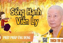 Sống Hạnh Viễn Ly – Thích Trí Quảng song hanh vien ly thich tri quan