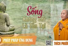 Sống Không Chỉ Là Tồn Tại – Thích Phước Tiến song khong chi la ton tai thich