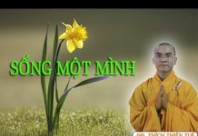 Sống Một Mình Và Sống Hai Mình – Thích Thiện Tuệ song mot minh va song hai minh t