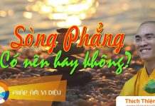 Sòng Phẳng – Có Nên Hay Không – Thích Thiện Tuệ song phang co nen hay khong thic