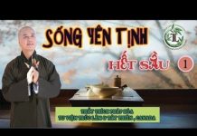 Sống Sao Cho Yên Tịnh Để Hết Sầu 1 – Thích Pháp Hòa song sao cho yen tinh de het sau 1
