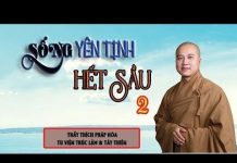 Sống Sao Cho Yên Tịnh Để Hết Sầu 2 – Thích Pháp Hòa song sao cho yen tinh de het sau