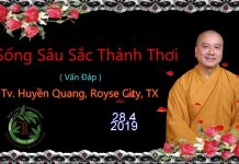 Sống Sâu Sắc Thảnh Thơi (Vấn Đáp) – Thích Pháp Hòa song sau sac thanh thoi van dap