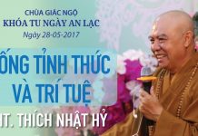 Sống Tỉnh Thức Và Trí Tuệ – Thích Nhật Hỷ song tinh thuc va tri tue thich