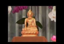 Sống Trọn Cuộc Đời Bạn Phần 2 – Thích Phước Tịnh song tron cuoc doi ban phan 2 th
