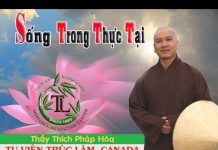 Sống Trong Thực Tại – Thích Pháp Hòa song trong thuc tai thich phap h