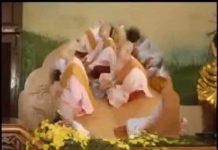 Sống Vui Sống Khỏe Sống Đẹp – Thích Bửu Chánh song vui song khoe song dep thic