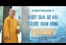 SPHP13: Vượt Qua Sợ Hãi Trước Đám Đông – Thích Nhật Từ sphp13 vuot qua so hai truoc dam