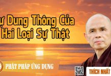 Sự Dung Thông Của Hai Loại Sự Thật – Thích Nhất Hạnh su dung thong cua hai loai su th