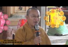 Sự Giác Ngộ Của Đức Phật – Thích Nhật Từ su giac ngo cua duc phat thich n