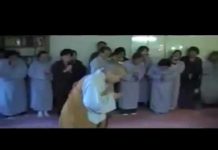 Sự Giới Hạn Của Đồng Tiền – Thích Nữ Như Lan su gioi han cua dong tien thich